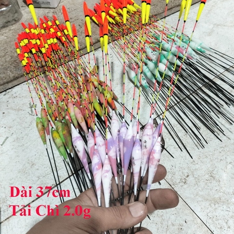 Phao Câu Đài Long Nhãn, Đầu To, Tín Hiệu Tốt, Dành cho người mắt yếu