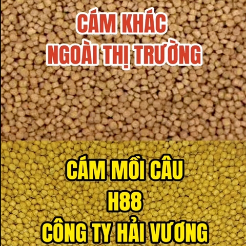 MC03 Cám Thơm Câu Cá H88 Công Ty Hải Vương,