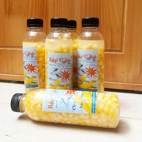 Bắp Ủ Câu Trắm , Chép, Trôi, Ngô Ủ, Bắp Ủ Chua, Ngô Ủ Thơm