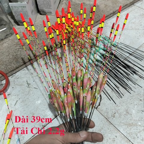 Phao Câu Đài Long Nhãn, Đầu To, Tín Hiệu Tốt, Dành cho người mắt yếu