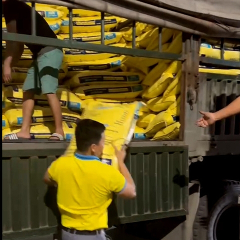 (Bao 10kg Đã Xay) Cám Thơm Câu Cá H88, Mồi Câu Cá Chép, Trôi, Mè. Trắm..