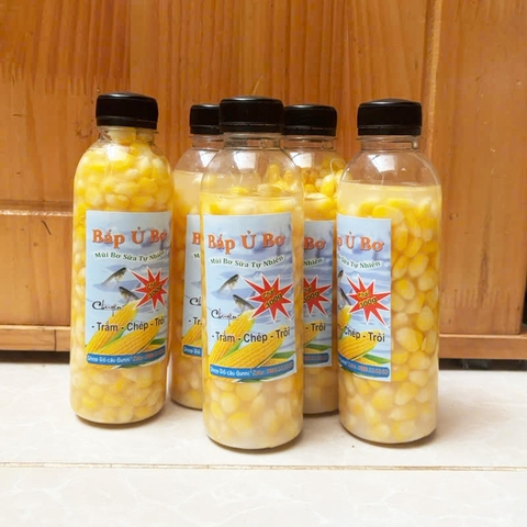 Bắp Ủ Câu Trắm , Chép, Trôi, Ngô Ủ, Bắp Ủ Chua, Ngô Ủ Thơm