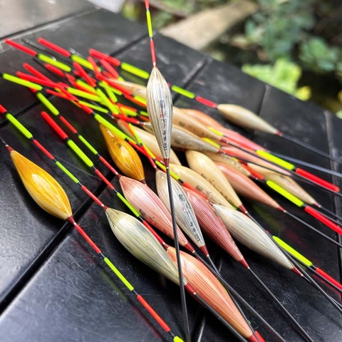 Phao Cỏ Lau Phi Thanh, Chuyên Dùng Câu Nước Nông, Câu Lửng, Cá Nhát