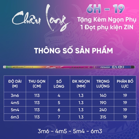 Cần Câu Tay Châu Long ( Tặng Kèm Đọt Rin ) Độ Cứng 6h - 19i