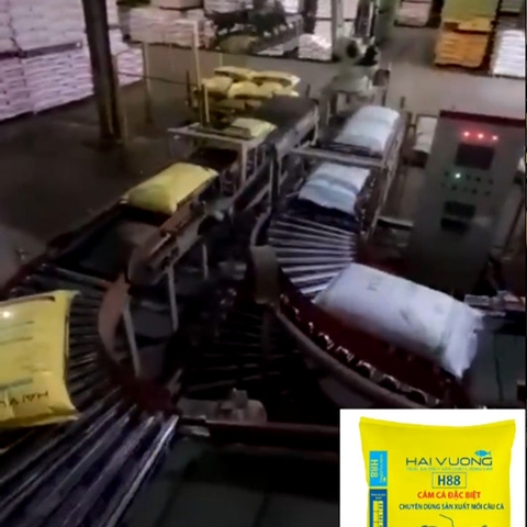 MC03 Cám Thơm Câu Cá H88 Công Ty Hải Vương,