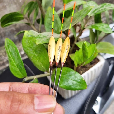 Phao Cỏ Lau Phi Thanh, Chuyên Dùng Câu Nước Nông, Câu Lửng, Cá Nhát