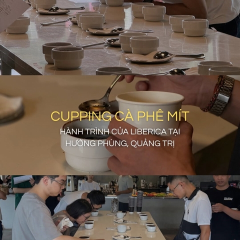 Recap event Cupping Cà phê mít, Quảng Trị 28/06/2026