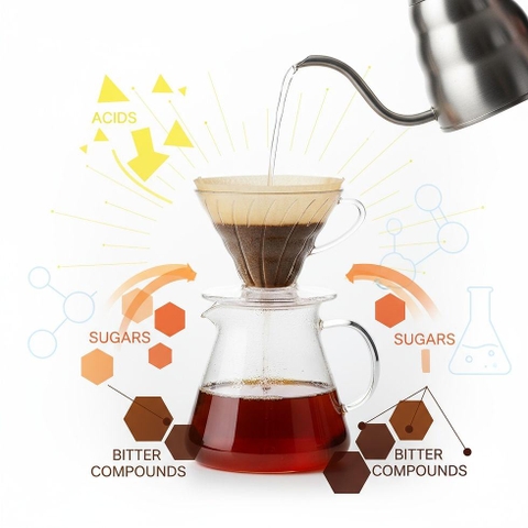 Nhiệt độ nước và hương vị cà phê
