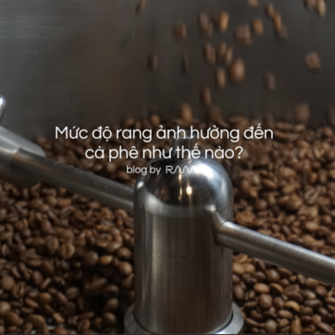 Mức độ rang ảnh hướng tới hương vị như thế nào?