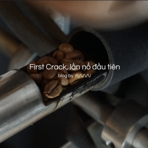 First Crack, lần nổ đầu tiên