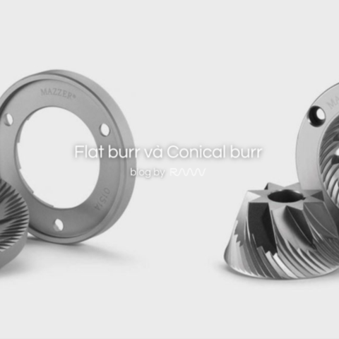 Flat burr và Conical burr