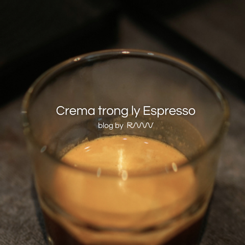 Crema trong ly Espresso