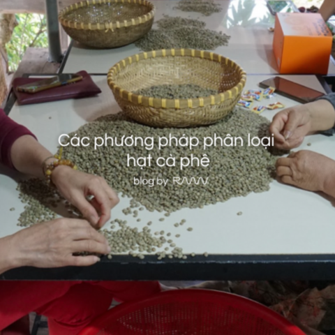 Các phương pháp phân loại hạt cà phê