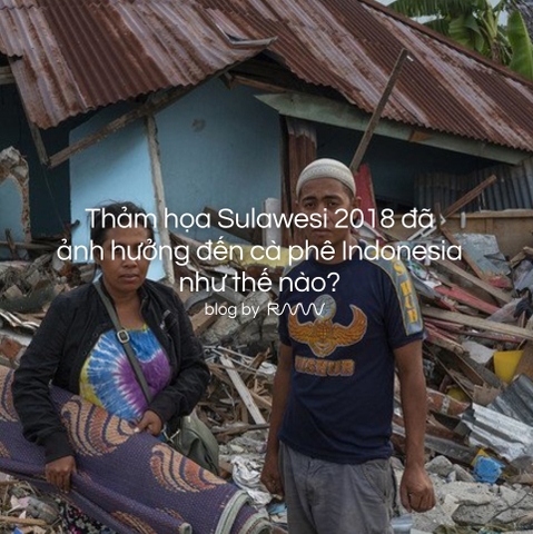 Thảm họa Sulawesi 2018 đã ảnh hưởng đến cà phê Indonesia như thế nào?