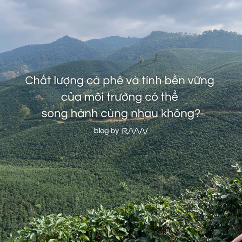 Chất lượng cà phê và tính bền vững của môi trường có thể song hành cùng nhau không?