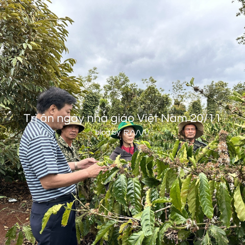 Tri ân ngày nhà giáo Việt Nam 20/11