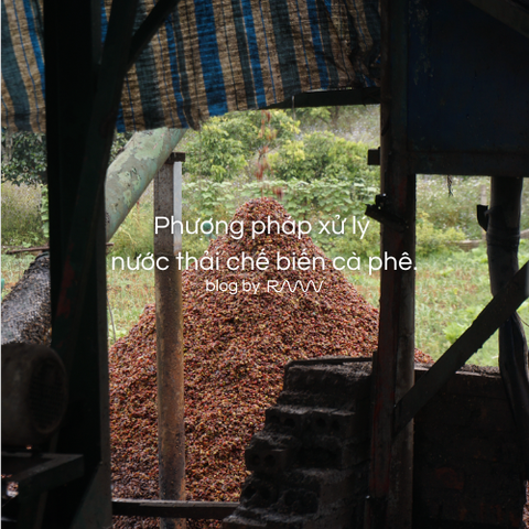 Phương pháp xử lý nước thải chế biến cà phê.