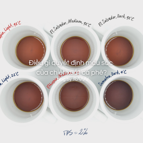 Điều gì quyết định màu sắc của chiết xuất cà phê?