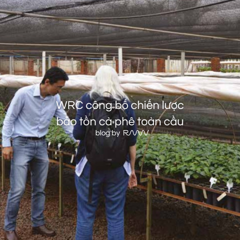 WRC công bố chiến lược bảo tồn cà phê toàn cầu