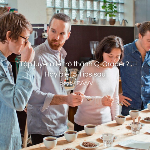 Tập luyện để trở thành Q-Grader? Hãy biết 5 Tips sau