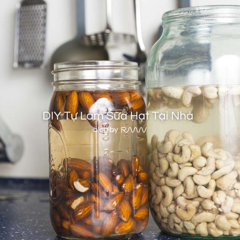 DIY Tự Làm Sữa Hạt Tại Nhà