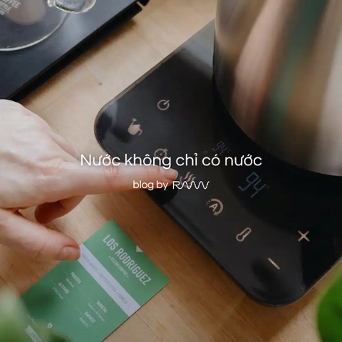 Nước không chỉ có nước