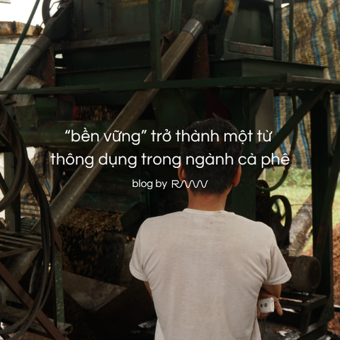 “bền vững” trở thành một từ thông dụng trong ngành cà phê