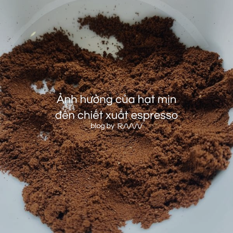 Ảnh hưởng của hạt mịn đến chiết xuất espresso