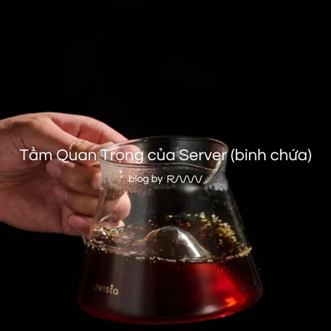 Tầm Quan Trọng của Server (bình chứa)