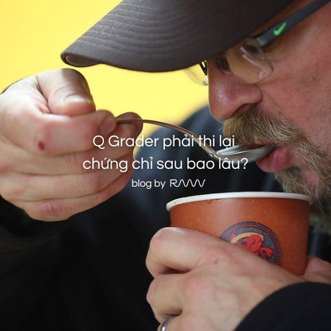 Q Grader phải thi lại chứng chỉ sau bao lâu?