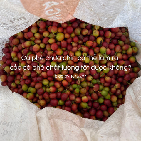 Cà phê chưa chín có thể làm ra cốc cà phê chất lượng tốt được không?