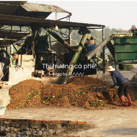 Thị trường cà phê