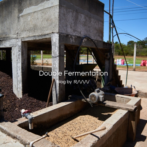 Double Fermentation