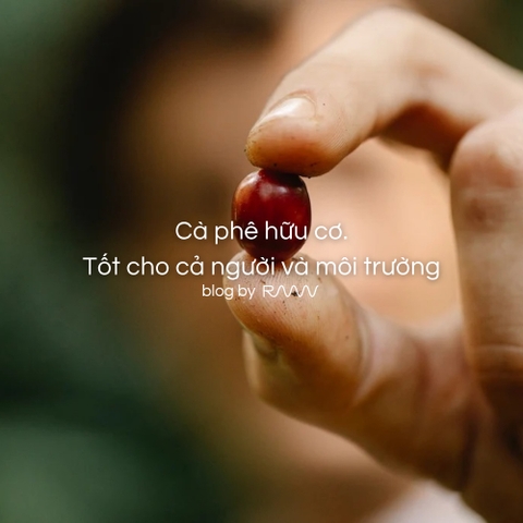 Cà phê hữu cơ. Tốt cho cả người và môi trường