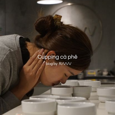 Cupping Cà Phê