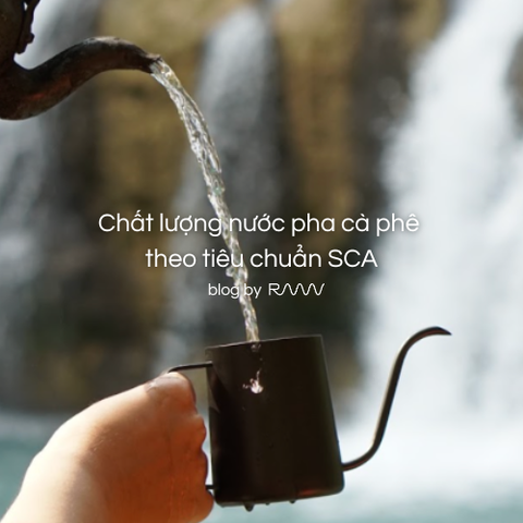 Chất lượng nước pha cà phê theo tiêu chuẩn SCA