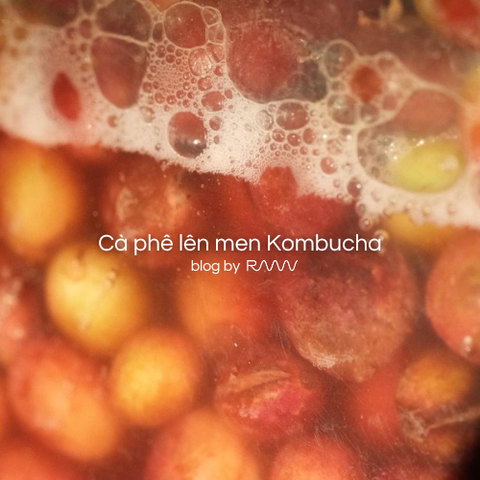 Cà phê lên men Kombucha