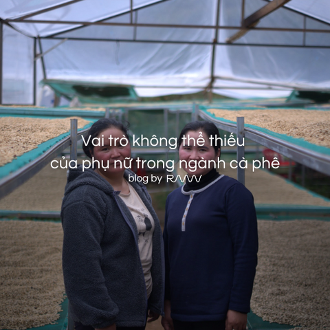 Vai trò không thể thiếu của phụ nữ trong ngành cà phê