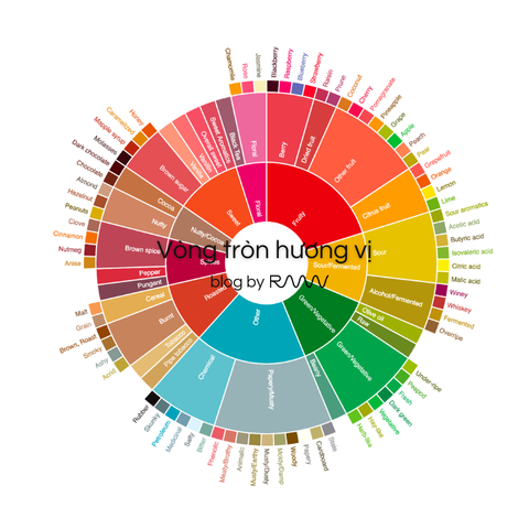 Cà phê và Vòng tròn hương vị