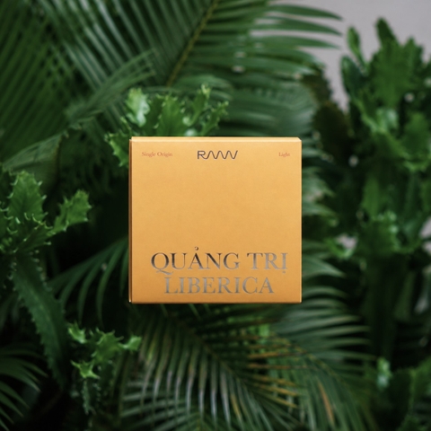 Quảng Trị Liberica