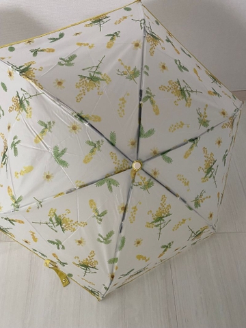 Ô Trong Họa Tiết Hoa Plantica
