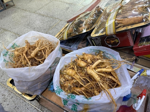 Sâm tươi Hàn Quốc