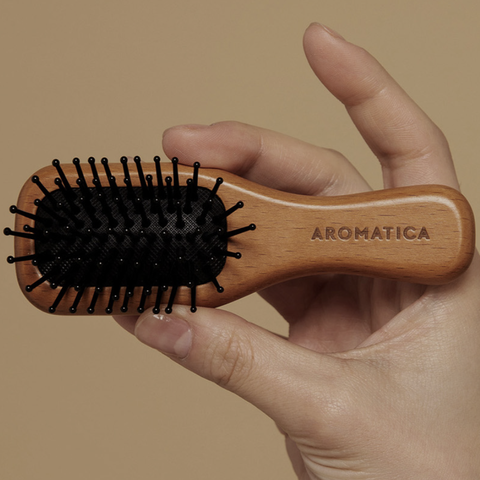 Lược Gỗ Mini