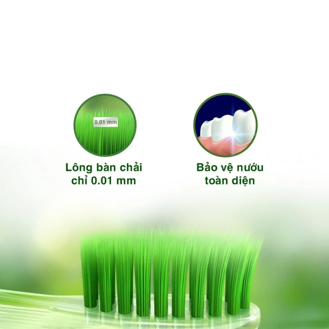 Bàn Chải Oral B
