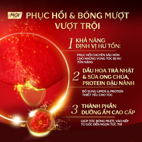 Bộ Gội Xả Tsubaki Dưỡng Tóc Bóng Mượt 490ml+180g