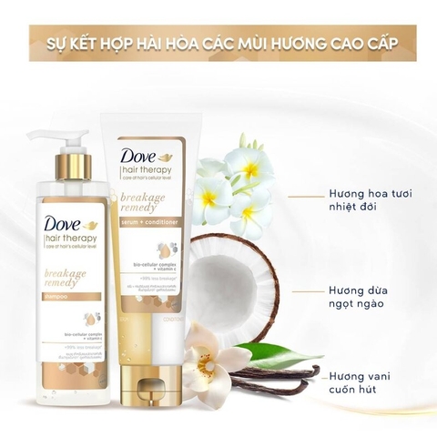 Dầu Gội Dove Phục Hồi & Ngăn Gãy Rụng Hair Therapy Breakage Remedy Shampoo 380ml