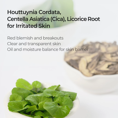 Toner Thảo Mộc Numbuzin No.1 Pure-full Calming Herb Toner Làm Dịu Da 300ml