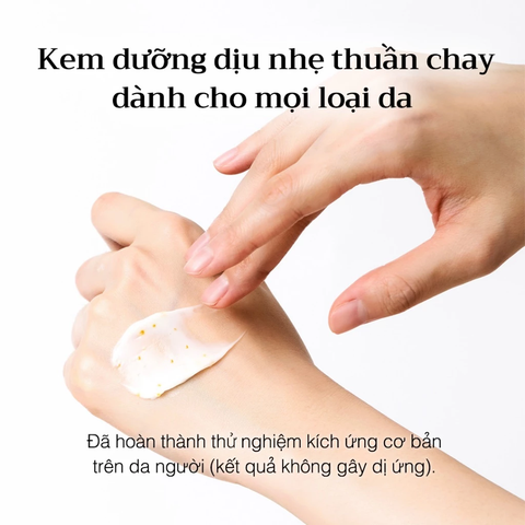 Kem Dưỡng Sáng Da Chống Lão Hóa D'Alba White Truffle Oil Capsule Cream 55g
