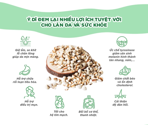 Viên Uống DHC Chiết Xuất Ý Dĩ Làm Sáng Da 30 Ngày 30 Viên