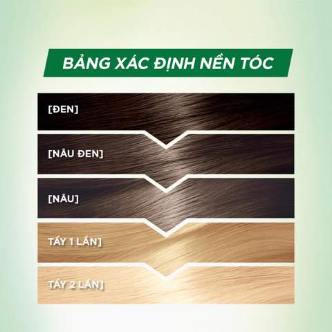 Kem Nhuộm Tóc Garnier Color Naturals Crème Riche 30g